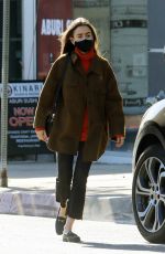 LILY COLLINS Out Shopping in West Hollywood 12/17/2020