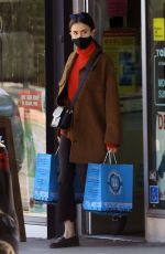 LILY COLLINS Out Shopping in West Hollywood 12/17/2020