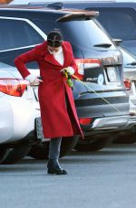 LUCY HALE Out with Her Dog in New York 12/06/2020