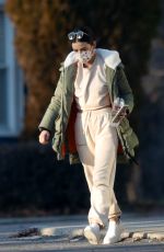 LUCY HALE Out with Her Dog in New York 12/13/2020