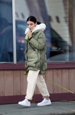 LUCY HALE Out with Her Dog in New York 12/13/2020