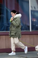 LUCY HALE Out with Her Dog in New York 12/13/2020