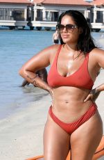 MALIN ANDERSSON in Bikini at a Beach in Dubai 12/15/2020