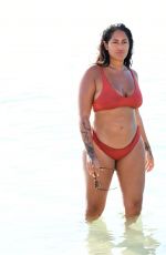 MALIN ANDERSSON in Bikini at a Beach in Dubai 12/15/2020