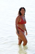 MALIN ANDERSSON in Bikini at a Beach in Dubai 12/15/2020
