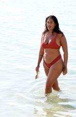MALIN ANDERSSON in Bikini at a Beach in Dubai 12/15/2020