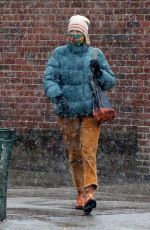 NAOMI WATTS Out and About in New York 12/09/2020