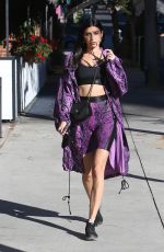 NICOLE WILLIAMS Leaves a Persian Eatery in Los Angeles 12/02/2020