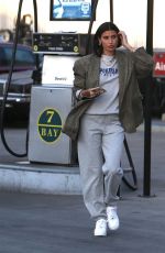 NICOLE WILLIAMS Out and About in Los Angele 12/09/2020