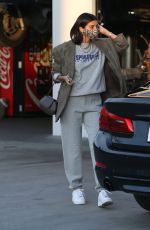 NICOLE WILLIAMS Out and About in Los Angele 12/09/2020