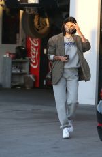 NICOLE WILLIAMS Out and About in Los Angele 12/09/2020