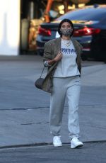 NICOLE WILLIAMS Out and About in Los Angele 12/09/2020