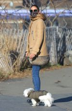 OLIVIA PALERMO Out with Her Dog Mr. Butler in New York 12/28/2020