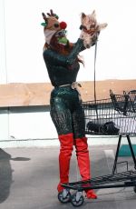PHOEBE PRICE at Parking lot of Petco in Los Angeles 12/10/2020