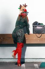 PHOEBE PRICE at Parking lot of Petco in Los Angeles 12/10/2020