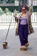 PHOEBE PRICE Out with Her Dog Henry in Los Angeles 12/01/2020