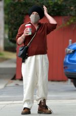 PINK Wearing a Face Mask Out in Santa Monica 12/07/2020