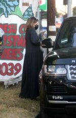 Pregnant ASHLEY TISDALE Shopping at a Christmas Tree Farm in Toluca Lake 12/01/2020