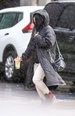 Pregnant CHRISTINA MILIAN Out for Furniture Shopping in West Hollywood 12/28/2020