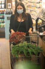Pregnant KATHARINE MCPHEE Shopping at Bristol Farms in Beverly Hills 12/03/2020