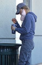 RENEE ZELLWEGER Wearing a Face Mask Out in Los Angeles 12/18/2020