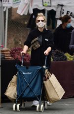 SARAH MICHELLE GELLAR Shopping at Farmers Market in Los Angeles 12/27/2020