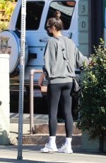 SHAY MITCHELL Out for Lunch in Los Feliz 12/19/2020