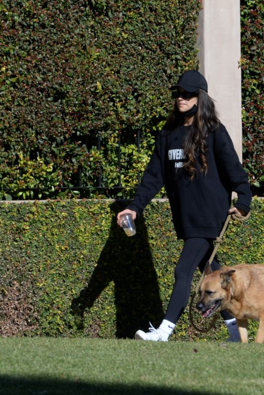 SHAY MITCHELL Out with Her Dog in Los Angeles 11/28/2020