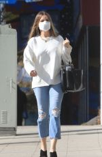 SOFIA VERGARA at a Beauty Salon in Beverly Hills 11/29/2020