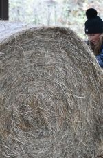 SUMMER MONTEYS-FULLAM at a Farm in Canterbury 12/28/2020
