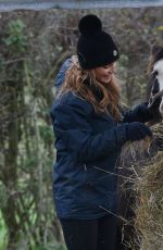 SUMMER MONTEYS-FULLAM at a Farm in Canterbury 12/28/2020