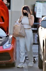 VANESSA HUDGENS and GG MAGREE Out Shopping in Los Angeles 12/04/2020