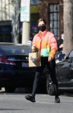 ZOEY DEUTCH Oand About in Los Angeles 12/17/2020
