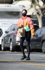 ZOEY DEUTCH Oand About in Los Angeles 12/17/2020