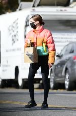 ZOEY DEUTCH Oand About in Los Angeles 12/17/2020