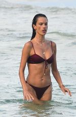 ALESSANDRA AMBROSIO in a Red Bikini at a Beach in Florianopolis 01/10/2021