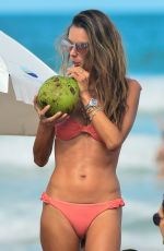 ALESSANDRA AMBROSIO in Bikini at a Beach in Florianopolis 01/02/2021