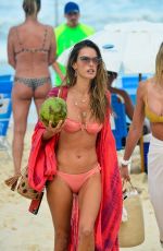 ALESSANDRA AMBROSIO in Bikini at a Beach in Florianopolis 01/02/2021