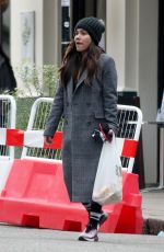 ALEX SCOTT Out with Friend in Primrose Hill 01/18/2021