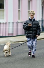 ALICE EVE Out with Her Dog in London 01/21/2021