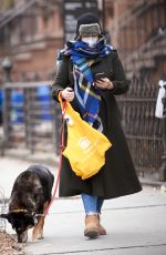 AMBER TAMBLYN Out awith Her Dog in New York 12/30/2020