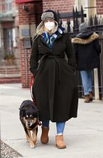 AMBER TAMBLYN Out awith Her Dog in New York 12/30/2020