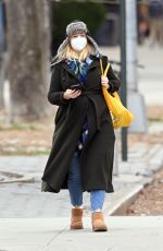 AMBER TAMBLYN Out awith Her Dog in New York 12/30/2020