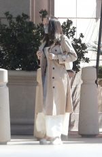 ANGELINA JLIE Out Shopping in Los Angeles 01/30/2021