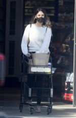 APRIL LOVE GEARY Out Shopping in Malibu 01/09/2021