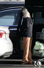 ARIEL WINTER Out Shopping for Groceries in Los Angeles 01/22/2021