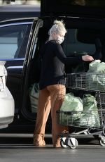 ARIEL WINTER Out Shopping for Groceries in Los Angeles 01/22/2021