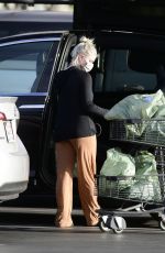 ARIEL WINTER Out Shopping for Groceries in Los Angeles 01/22/2021