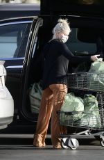 ARIEL WINTER Out Shopping for Groceries in Los Angeles 01/22/2021
