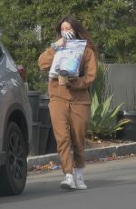 AUBREY PLAZA Out and About in Los Angeles 01/03/2021